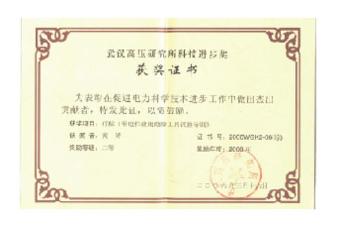 武汉高压研究所科技进步奖荣誉证书