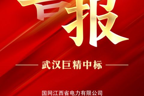 热烈祝贺亚博app下载中标国网江西省电力有限企业2022年第二次物资公开招标采购项目